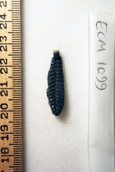 ECM.1099-2010-A image ECM.1099-2010-A