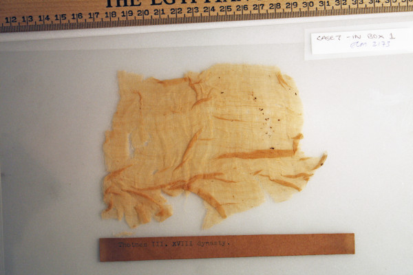 ECM.2173-2010-A image ECM.2173-2010-A