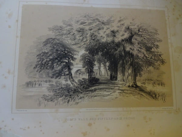 FDA-E.2843_6-2016 image FDA-E.2843_6-2016