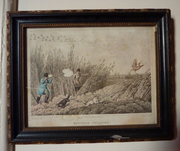 image FDA-E.575-2013