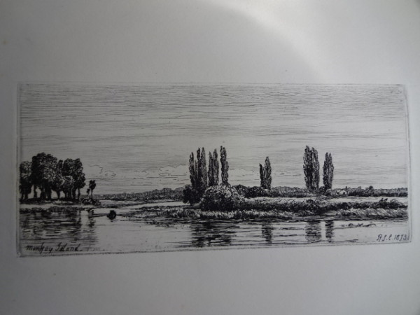 FDA-V.2-2015-Y image FDA-V.2-2015-Y