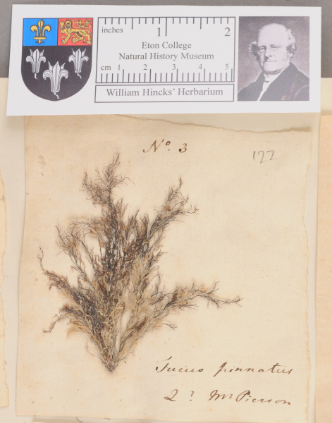 NHM_HH_1.122-2010 image NHM_HH_1.122-2010