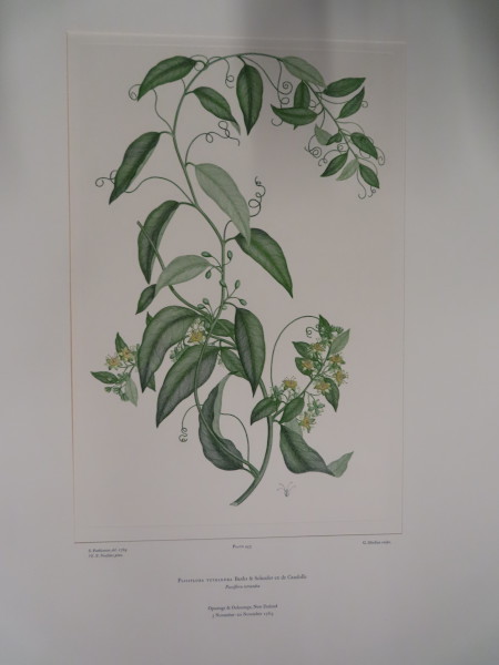 image FDA-E.2916_22_10-2016