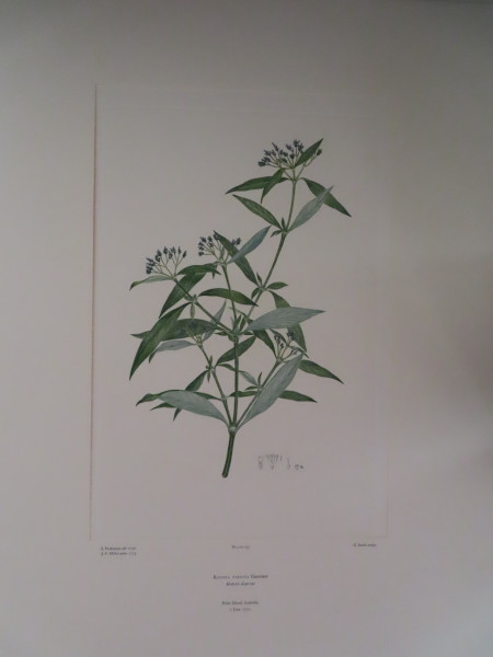 image FDA-E.2916_7_23-2016