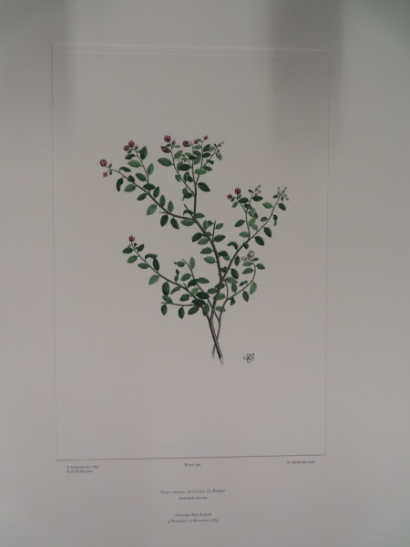 image FDA-E.2916_24_11-2016