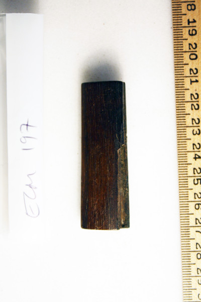 ECM.197-2010-A image ECM.197-2010-A