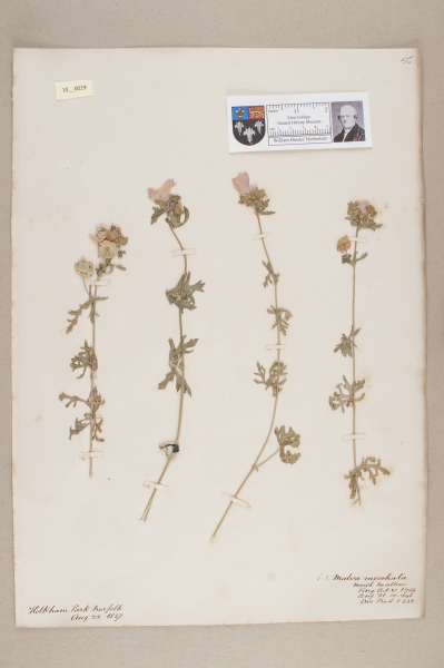 NHM_HH_10.29-2010 image NHM_HH_10.29-2010