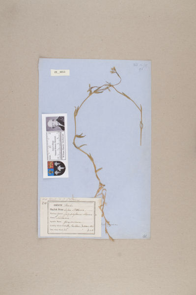 NHM_HH_9.13-2010 image NHM_HH_9.13-2010