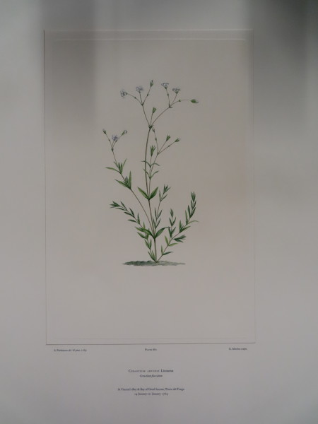 FDA-E.2916_32_11-2016-A image FDA-E.2916_32_11-2016-A