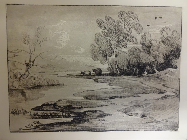 FDA-E.2555_5-2016 image FDA-E.2555_5-2016