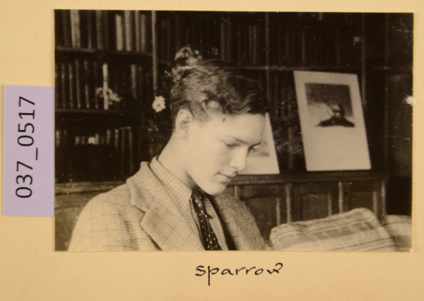 PA-A.37_517-2012 image PA-A.37_517-2012