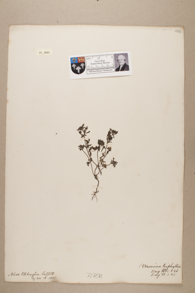 NHM_HH_25.63-2010 image NHM_HH_25.63-2010