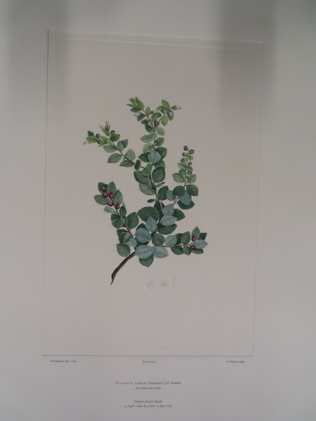 image FDA-E.2916_29_15-2016