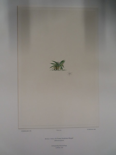 FDA-E.2916_34_19-2016 image FDA-E.2916_34_19-2016