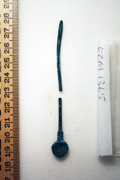 ECM.1365-2010-A image ECM.1365-2010-A