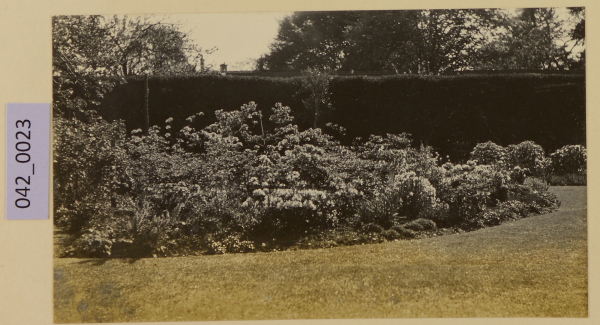 PA-A.42_23-2013 image PA-A.42_23-2013