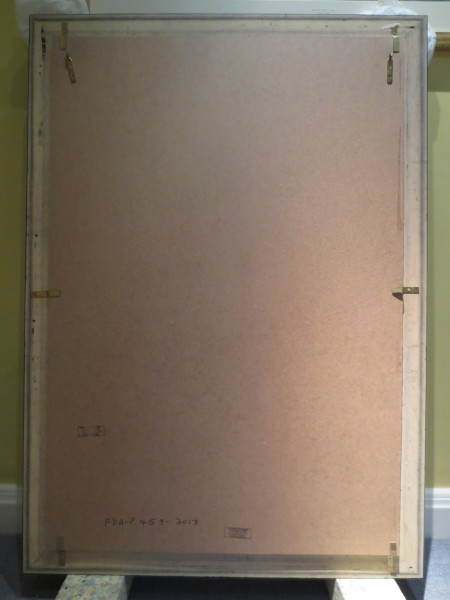 FDA-P.459-2013-B image FDA-P.459-2013-B