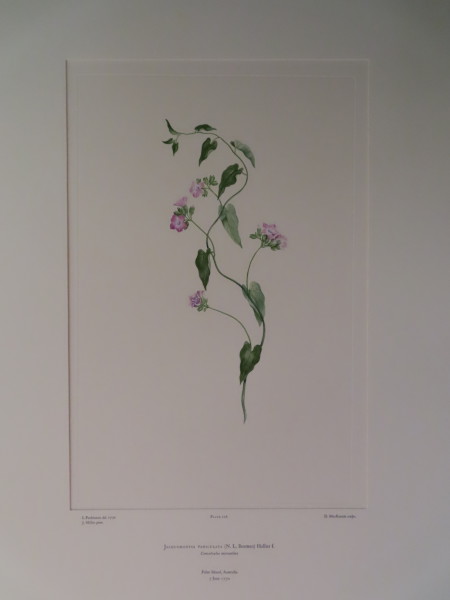 FDA-E.2916_11_4-2016 image FDA-E.2916_11_4-2016