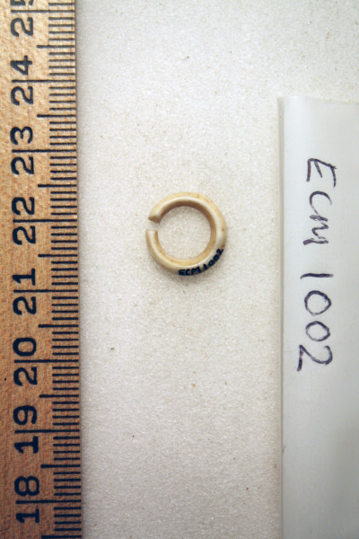 ECM.1002-2010-A image ECM.1002-2010-A