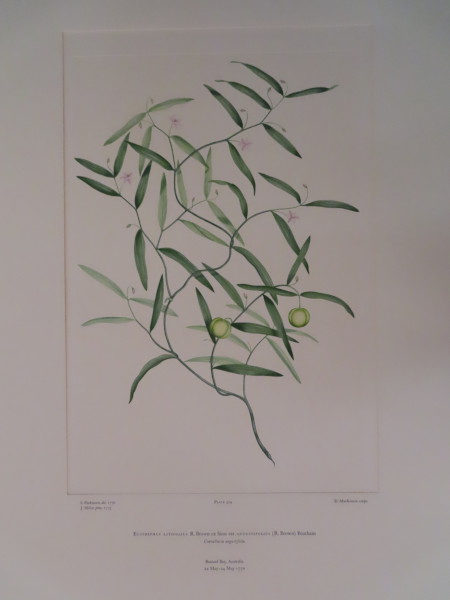 FDA-E.2916_15_12-2016-A image FDA-E.2916_15_12-2016-A