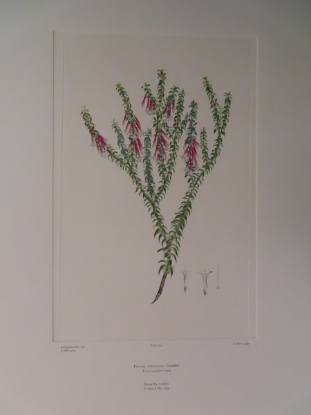 image FDA-E.2916_9_20-2016