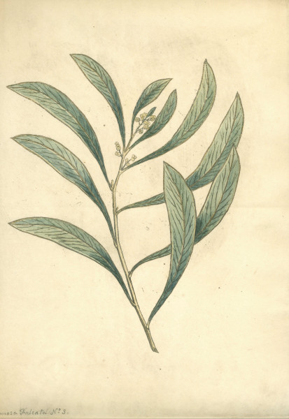 image NHM-HH.2_2-2014