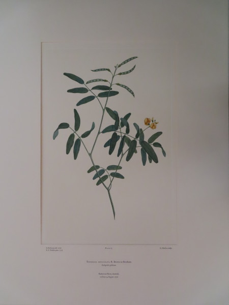 image FDA-E.2916_3_21-2016-A