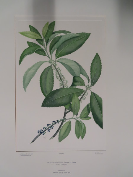 image FDA-E.2916_20_13-2016