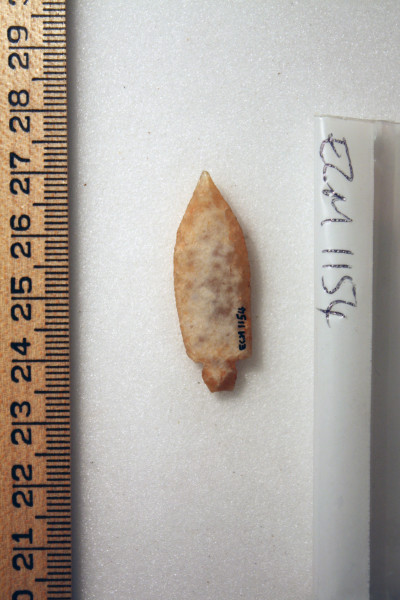 ECM.1154-2010-B image ECM.1154-2010-B