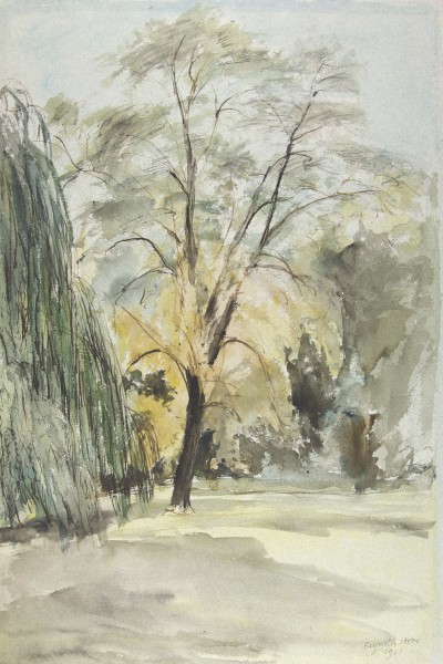 FDA-D.801-2010 image FDA-D.801-2010