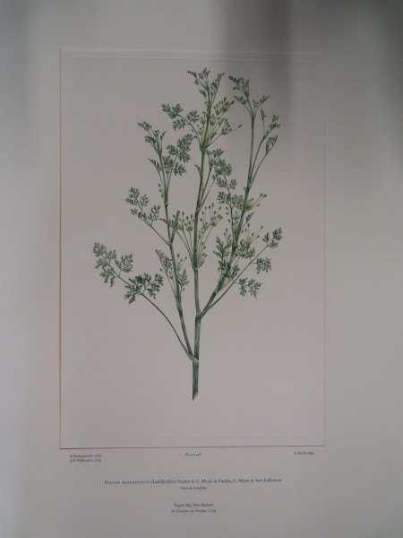 image FDA-E.2916_22_15-2016