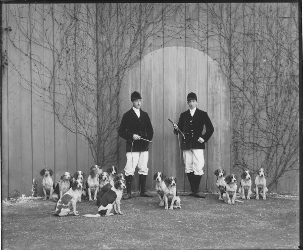 PA-N.825-2024 image PA-N.825-2024