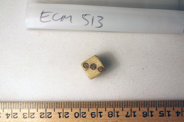 ECM.513-2010-A image ECM.513-2010-A