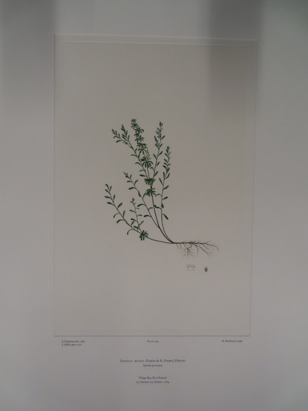 image FDA-E.2916_24_16-2016