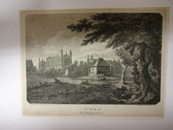 FDA-E.2312-2015 image FDA-E.2312-2015