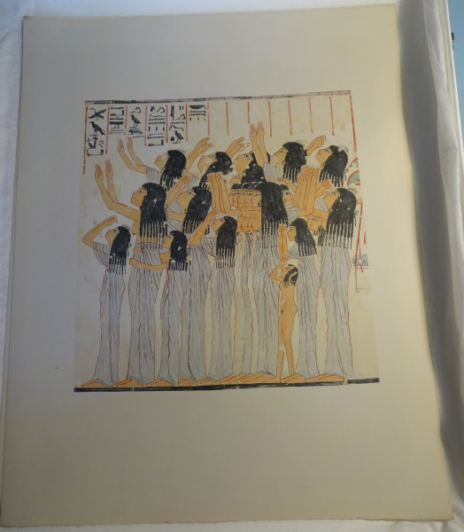 image FDA-E.3055_18-2018