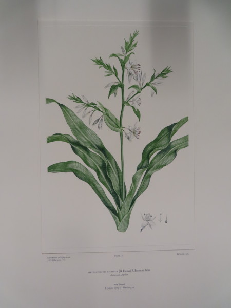 image FDA-E.2916_26_23-2016-A