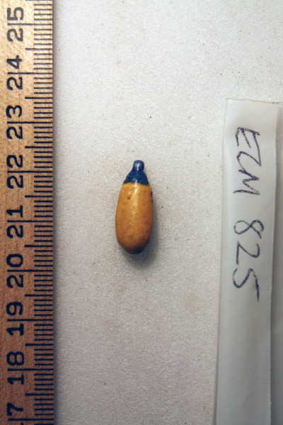 ECM.825-2010-A image ECM.825-2010-A