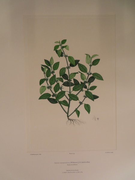 image FDA-E.2916_30_14-2016-A