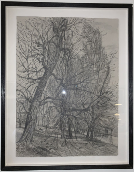 image FDA-D.1608-2019