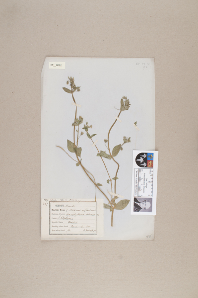 NHM_HH_9.22-2010 image NHM_HH_9.22-2010