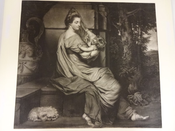 FDA-E.62-2014 image FDA-E.62-2014