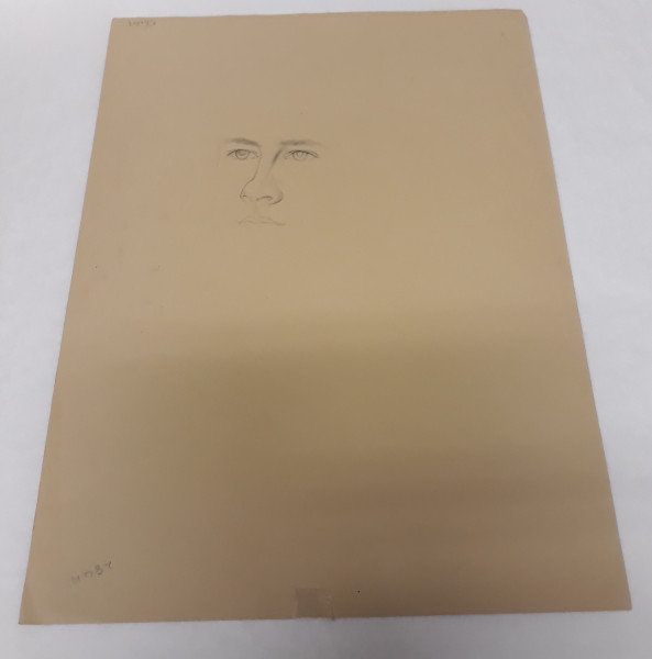 FDA-D.1585-2017-A image FDA-D.1585-2017-A