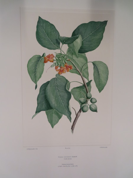 image FDA-E.2916_29_20-2016-A