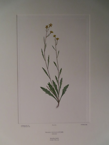 FDA-E.2916_9_4-2016-A image FDA-E.2916_9_4-2016-A