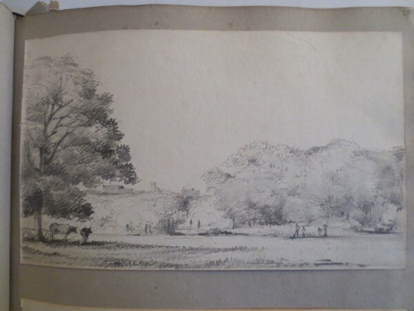 FDA-V.8-2016-BC image FDA-V.8-2016-BC