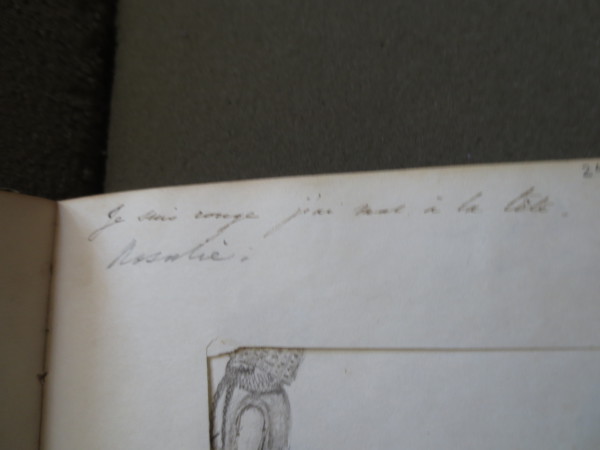 FDA-V.3-2016-Y image FDA-V.3-2016-Y