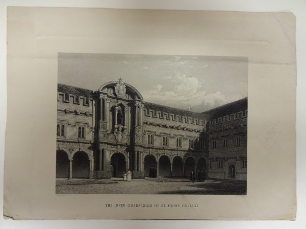 FDA-E.295-2010 image FDA-E.295-2010