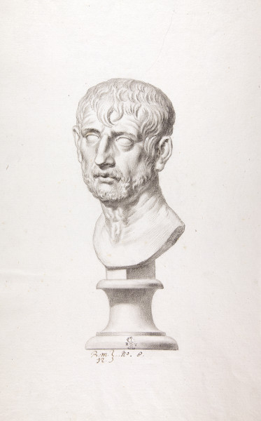 ECL-Bm.12_8-2013 image ECL-Bm.12_8-2013