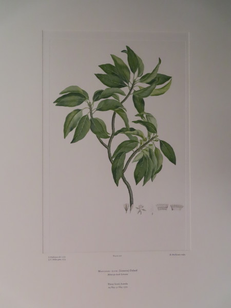 image FDA-E.2916_9_25-2016